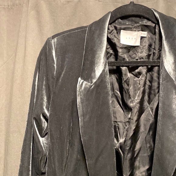 Lush Velvet Blazer - Picture 2 of 4